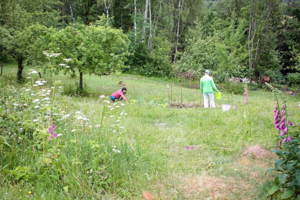 Enjoy Cozy Romance Hills Forest Gardens Views Sauna Whirlpool Bath Jablonne v Podjestedi ภายนอก รูปภาพ