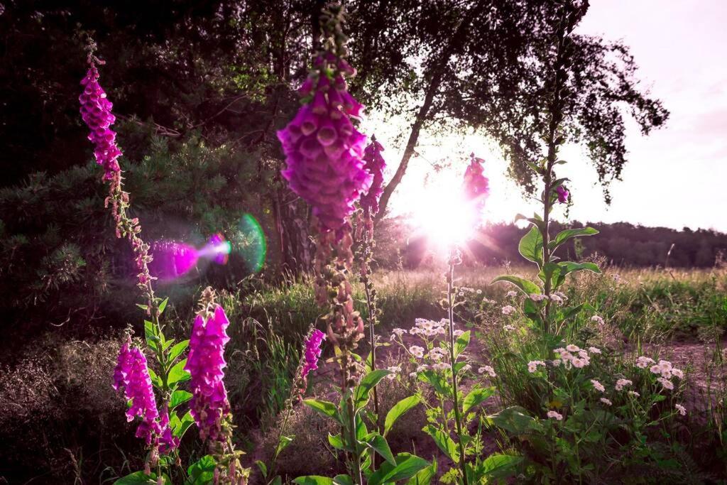 Enjoy Cozy Romance Hills Forest Gardens Views Sauna Whirlpool Bath Jablonne v Podjestedi ภายนอก รูปภาพ